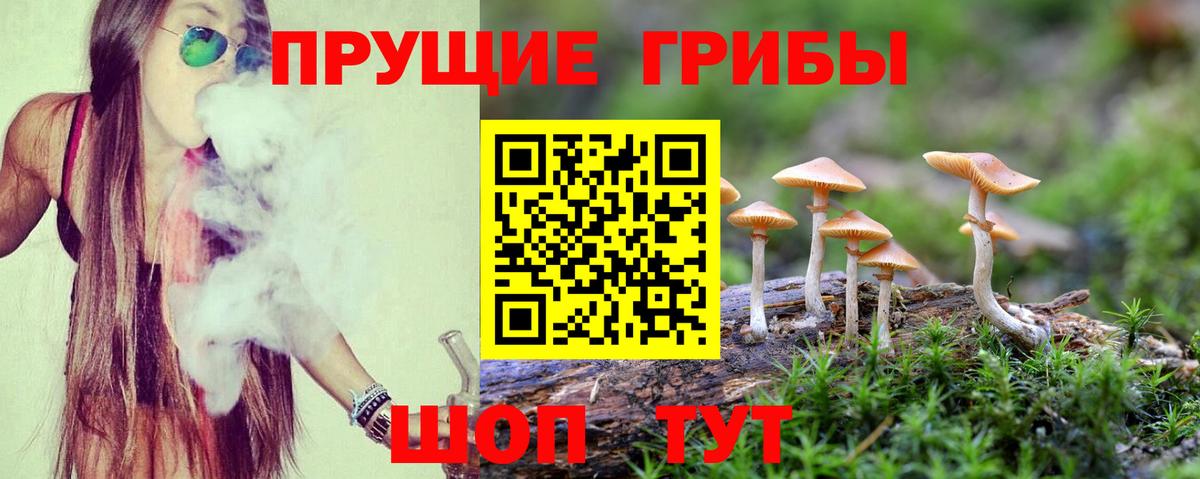 Галлюциногенные грибы Cubensis  Галлюциногенные грибы мухоморы  Вход с VPN  Тулун 
